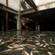 Illustration for article titled These Abandoned Malls Would Be Awesome Post-Apocalyptic Film Locations